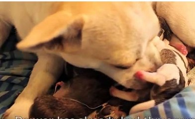 【상세안내 빠르게 안내가능】