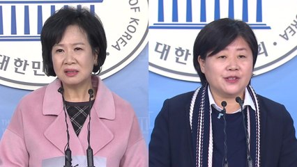 [뉴스앤이슈] 손혜원 보류·서영교 사임 "솜방망이" 비판 / YTN
