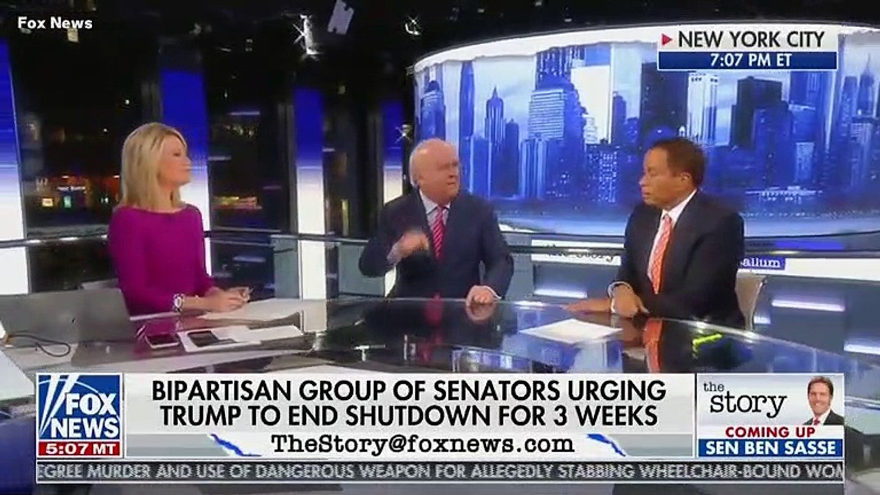 Fox News Host Says Sean Hannity, Rush Limbaugh And Ann Coulter Are 'Running This Government'