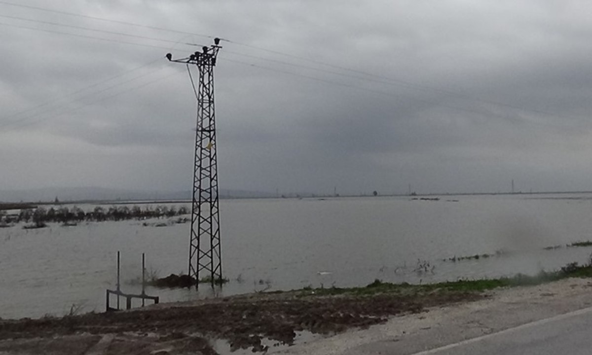 Baraj kapakları açıldı, mahalleleri su bastı