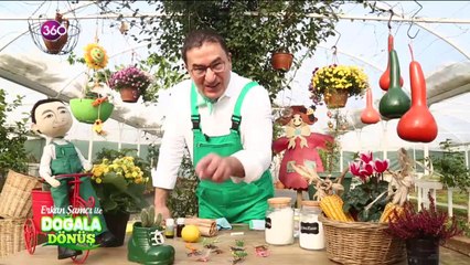 Doğala Dönüş 17 01 2019