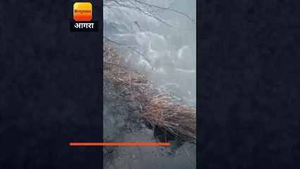 UP: मैनपुरी में गांगसी रजवाह कटी, एक हजार बीघा फसलें पानी में डूबी