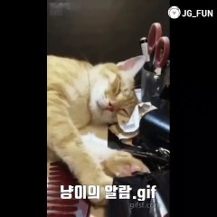 예금거래실적증명위조  카톡아이디 : best3838  #졸업증명서위조 #운전면허증위조 각종증명서위조 가능합니다.☆ 메일문의 : post8282@hotmail.com