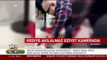 İş adamı kedisini sopayla dövdü