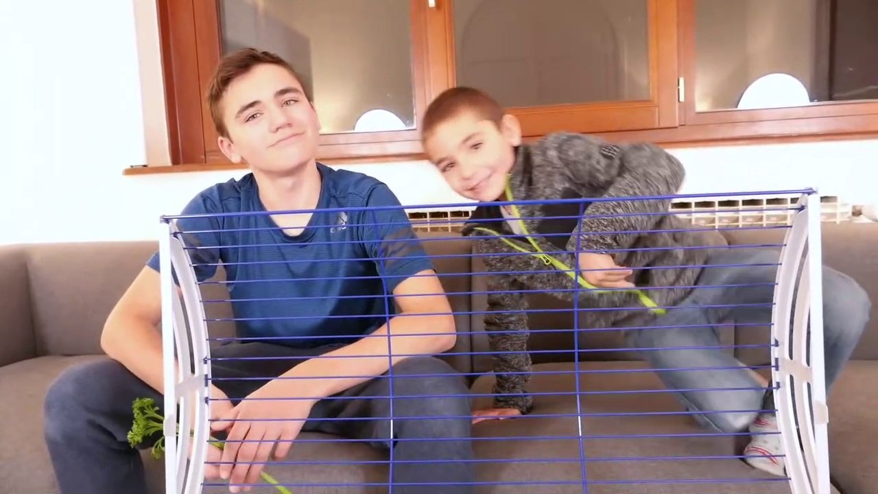 LA NOUVELLE MAISON DE NOTRE COCHON D'INDE OREO !