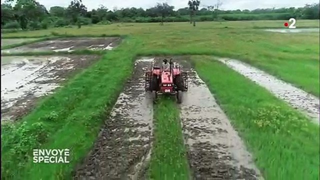 C'est un crime contre l'humanité dénonce un scientifique dont l'étude a motivé l'interdiction du glyphosate au Sri Lanka