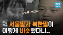 [엠빅X통일전망대] 어떤 게 서울말이고 어떤 게 북한 말인지 구분할 수 있겠음?