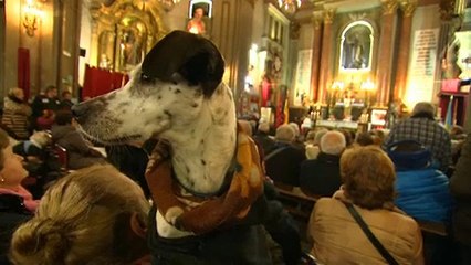 Μαδρίτη: Ετήσιος αγιασμός ζώων