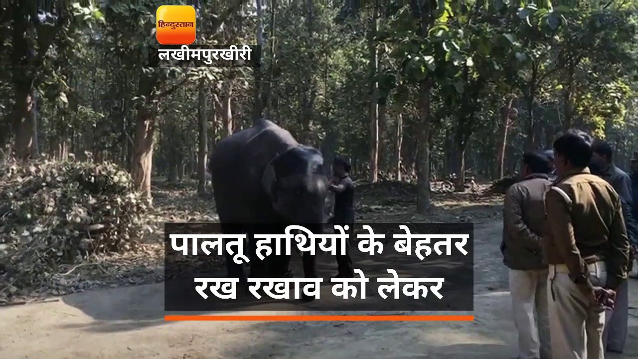 धूप खिली तो दक्षिण के हाथियों ने दुधवा में की अ...