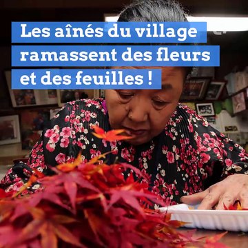 Kamikatsu, un village japonais sauvé par les fleurs et les feuilles