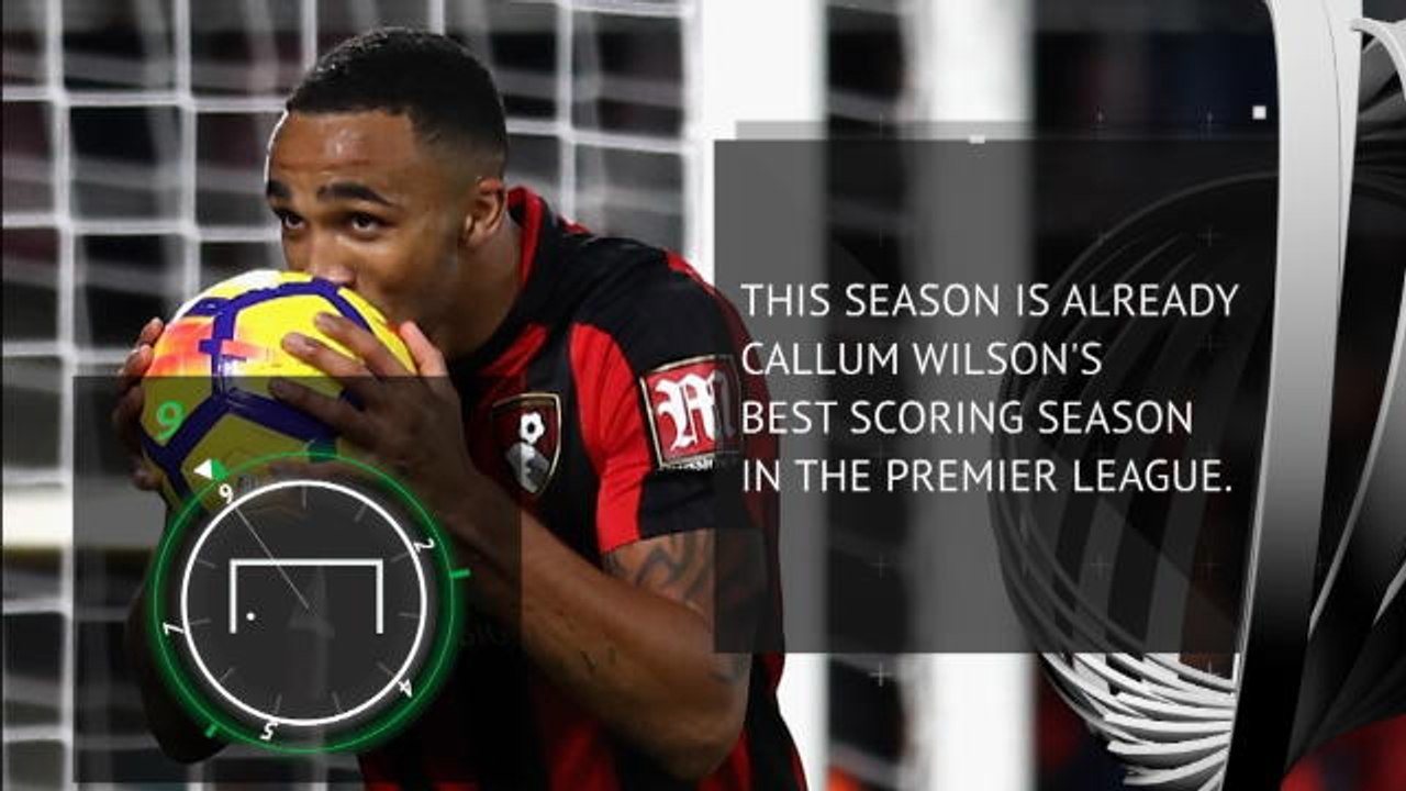Player Profile - Callum Wilson