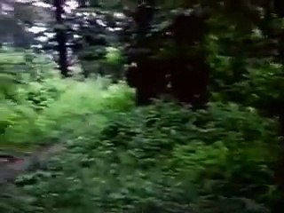 피오가바카라잘하는법베팅초대하기로도요타