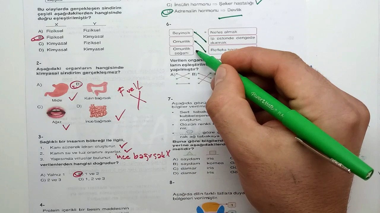 7. Sınıf FEN BİLİMLERİ  1. Dönem 2. Yazılı Soruları ve Çözümü 2018-2019