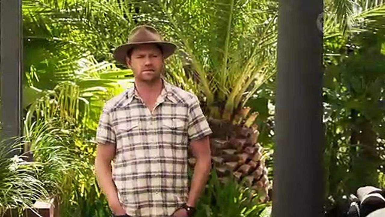 Neighbours 18th January 2019 (8020)