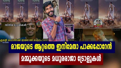 മധുരരാജയുടെ അടിപൊളി ട്രോളുകൾ | filmibeat Malayalam