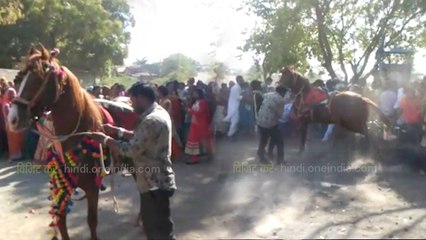 दूल्हे की घुड़चढ़ी के वक्त बिदक गई घोड़ी, शादी में मची भगदड़, वीडियो वायरल