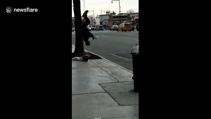 Brooklyn man plays flute while hanging UPSIDE DOWN from tree