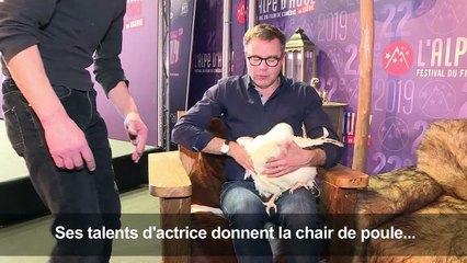 Festival de l'Alpe d'Huez: des poules à l'affiche de "Roxane"