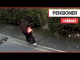Police hunt thugs dragging pensioner to the ground in shocking street robbery | SWNS TV