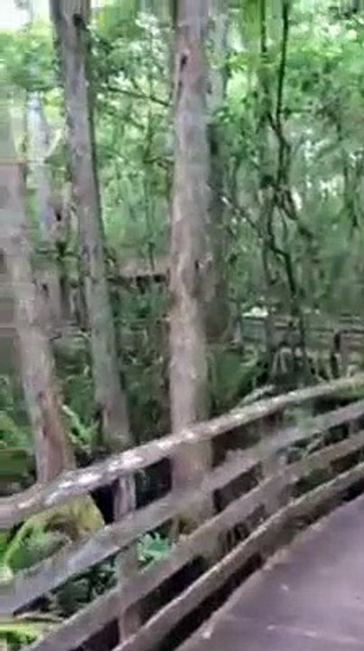 Elle fait une rencontre plutôt effrayante en se promenait tranquillement dans un parc