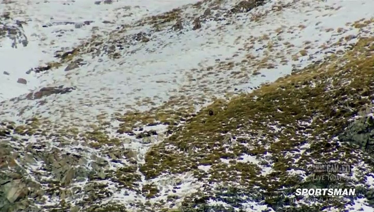 MeatEater.S02E07.The.Top.of.the.Bottom.of.the.World-New.Zealand.Tahr.Part.2.HDTV.x264