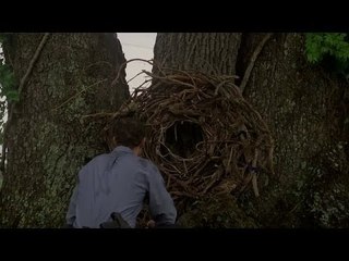 True Detective - Teaser #4 | NEW SERIES | HD