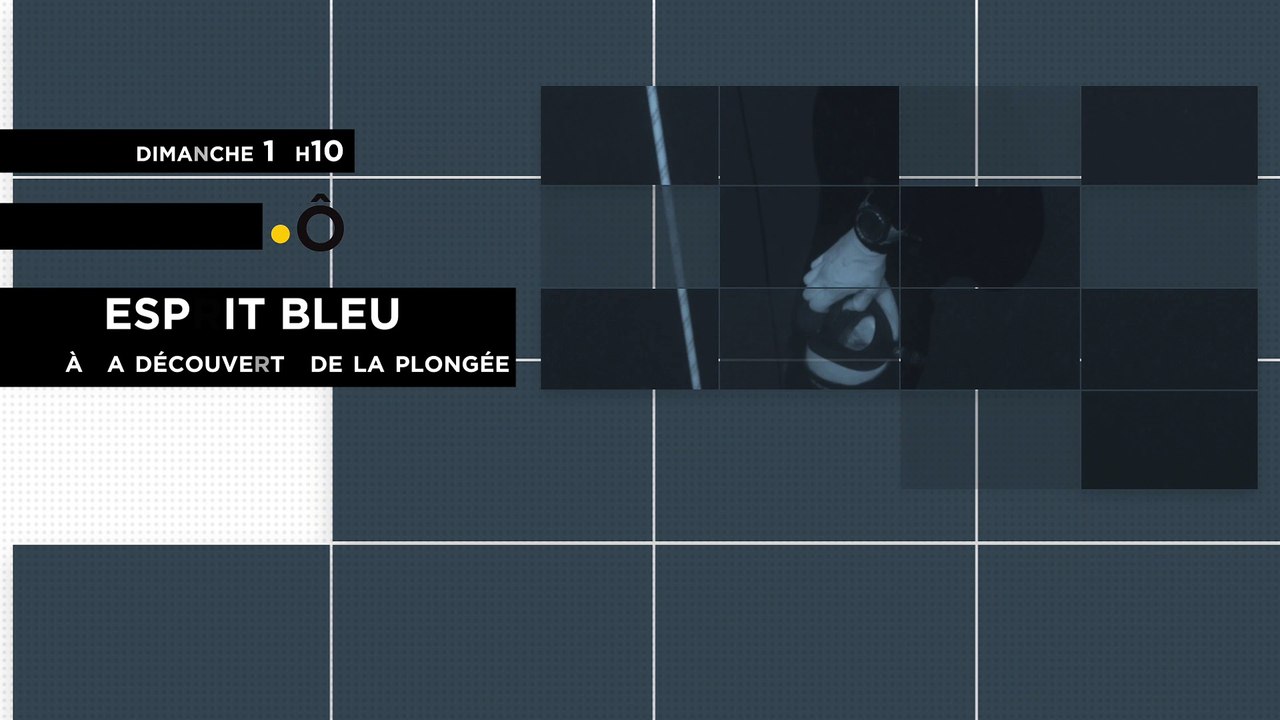 BA - ESPRIT BLEU - A LA DECOUVERTE DES SPORTS SOUS-MARINS - LA PLONGEE EN APNEE