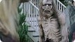 THE WALKING DEAD Season 6 Episode 9 SNEAK PEEK PREVIEW (2016) amc Zombie Series