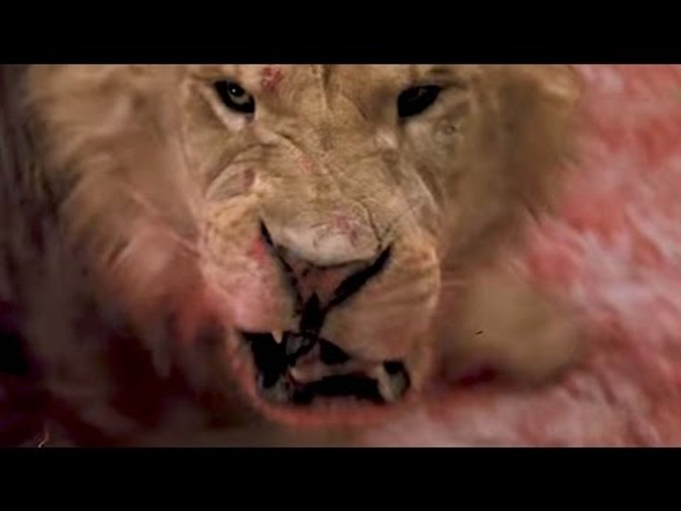 ROAR Movie Clip # 2 (1981)