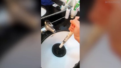 Curious Cat Wants To See What's Happening