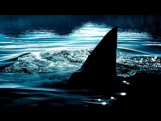 Shark Lake (2015) Trailer – Dolph Lundgren Faces a Family of Killer Sharks 🦈