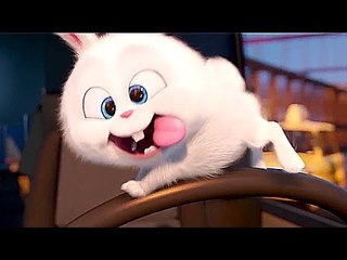 The Secret Life of Pets : meet "Psycho Bunny" !