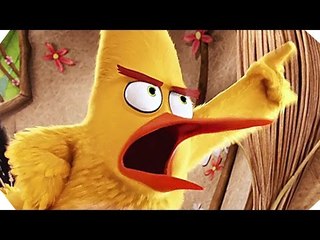 THE ANGRY BIRDS - Movie CLIP # 1 (2016)