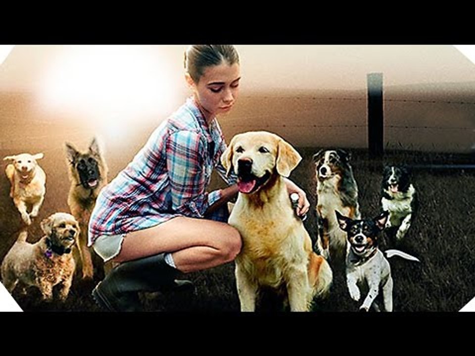 THE DOG LOVER Trailer (2016)