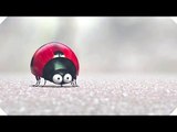 MINUSCULE - Movie CLIPS (Animation - 2016)