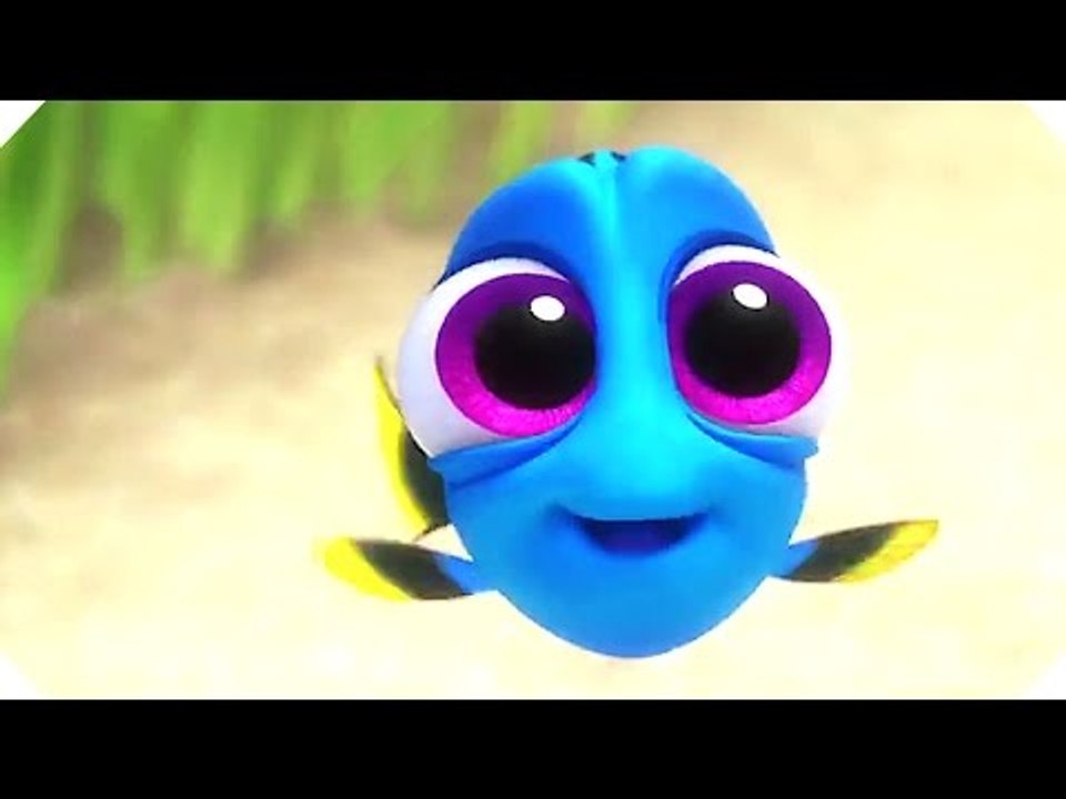 Disney Pixar's FINDING DORY - ALL the Movie Clips including BABY DORY ! (2016)