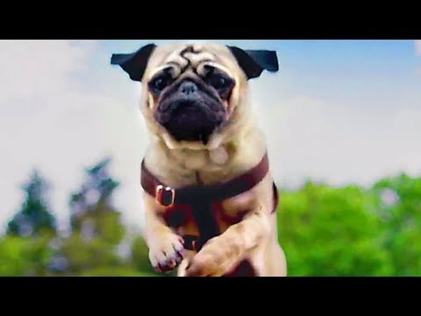 PATRICK Trailer (2018) Kids & Family, Dog Movie