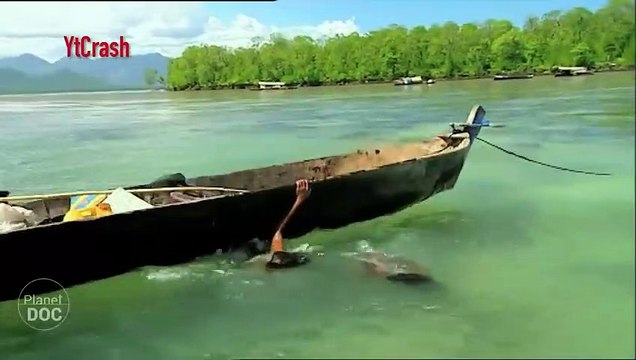 Underwater Humans from Indonesia ... !! You Must Know 5 Great Indonesian Tribes Become Highlights