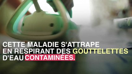 Attention au risque de légionellose dans les douches