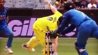 India vs Australia 3rd ODI 2019 match highlights | Chahal takes 6 wickets Highlight