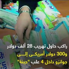 فيديو جراف.. "لحوم مجمدة وخلايا نحل وعلبة جبنة".. أغرب طرق التهريب