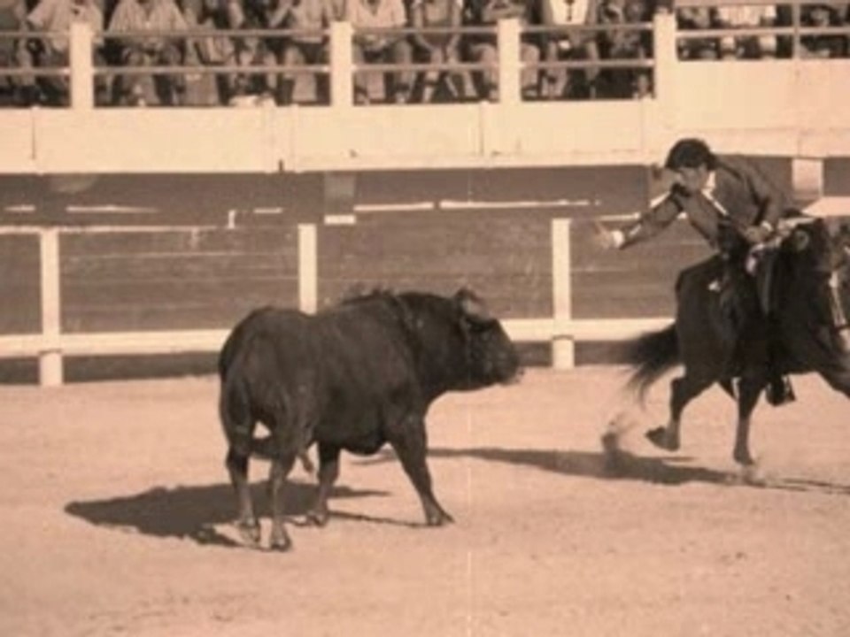 Corrida saintes marie de la mer