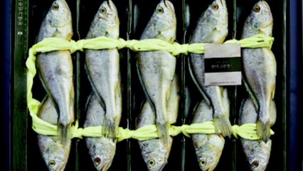 [기업] 봄굴비·독도새우...현대百 이색 수산물 선물세트 강화 / YTN