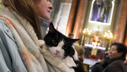 No Comment of the Week: il meglio della settimana