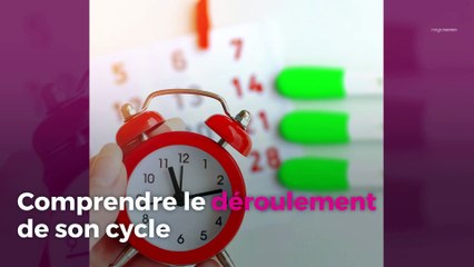Cycle menstruel long : quel impact sur la fécondité ?