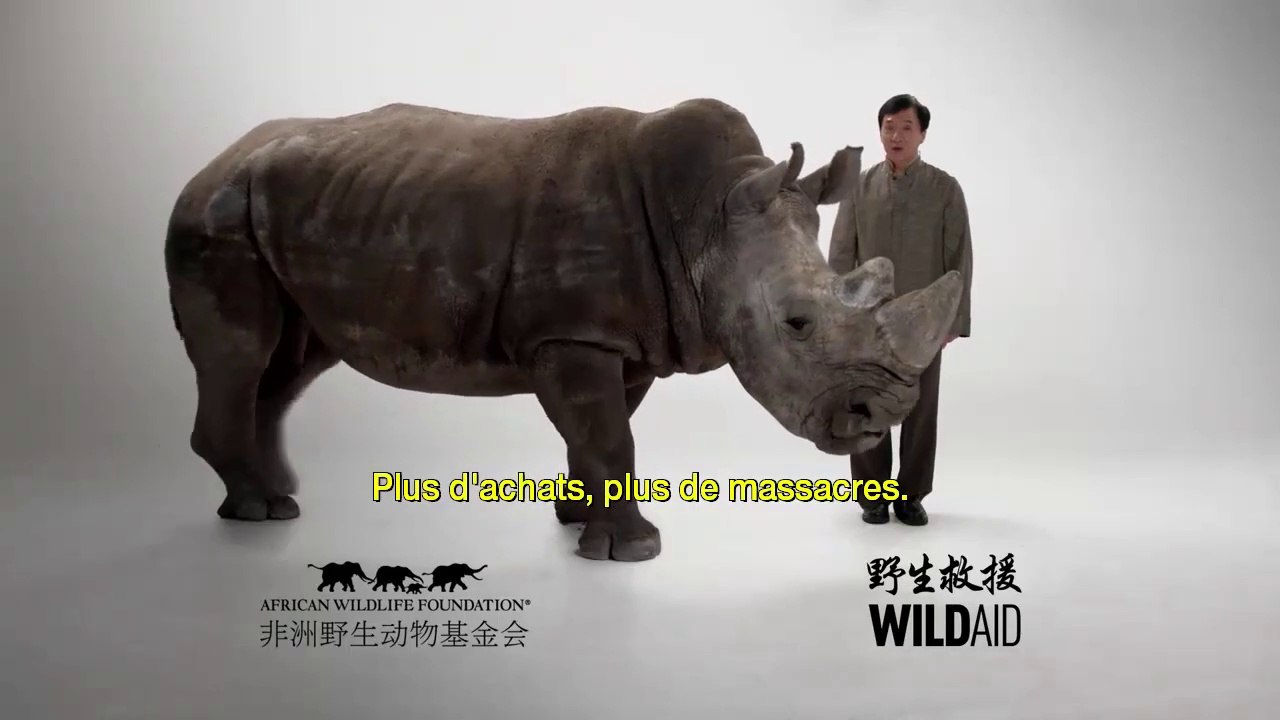 CAMPAGNE POUR LA LUTTE CONTRE LE BRACONNAGE D'IVOIRE (Jackie Chan)