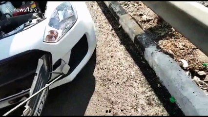 Monkey gets trapped under the hood of a car in India and has to be rescued