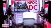 La véritable histoire des gilets jaunes - L'Info du vrai du 18/01 - CANAL+