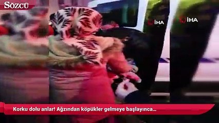 Korku dolu anlar! Ağzından köpükler gelmeye başlayınca…
