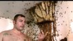 Il découvre un essaim d'abeille géant dans une maison